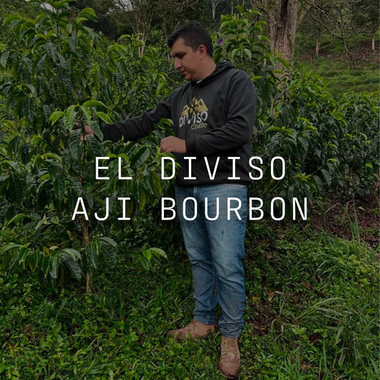 Colombia | Thermal Shock Washed Aji Bourbon