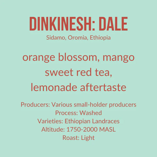 Ethiopia | Dale - Washed