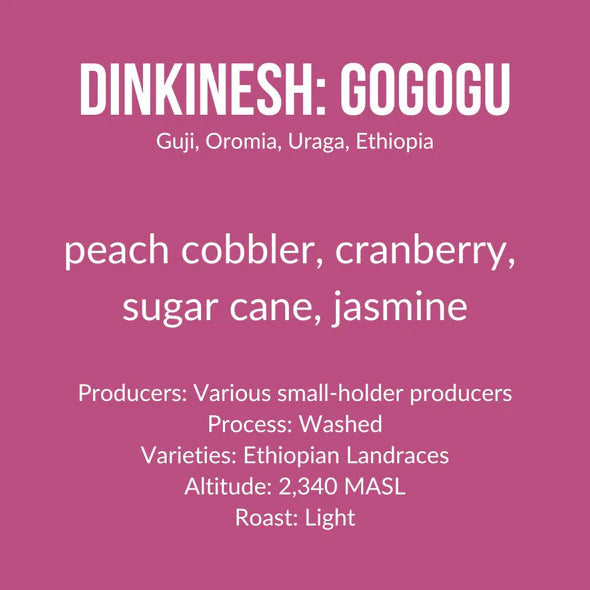 Ethiopia | Gogogu - Washed