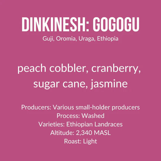 Ethiopia | Gogogu - Washed