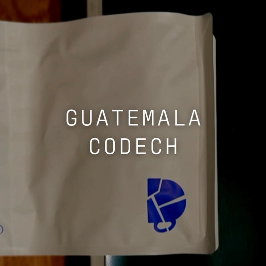 Guatemala | CODECH Washed Field Blend