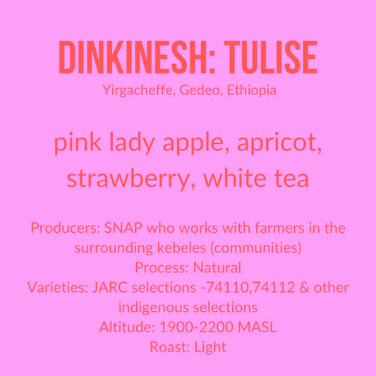 Ethiopia | Tulise - Natural