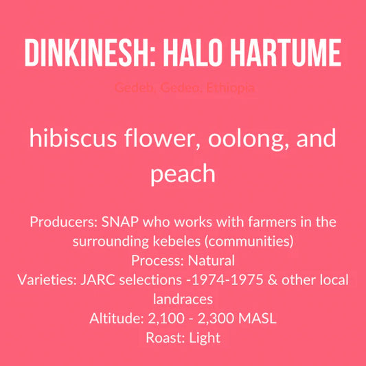 Ethiopia | Halo Hartume - Natural